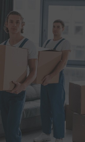 Professional Movers and Packers